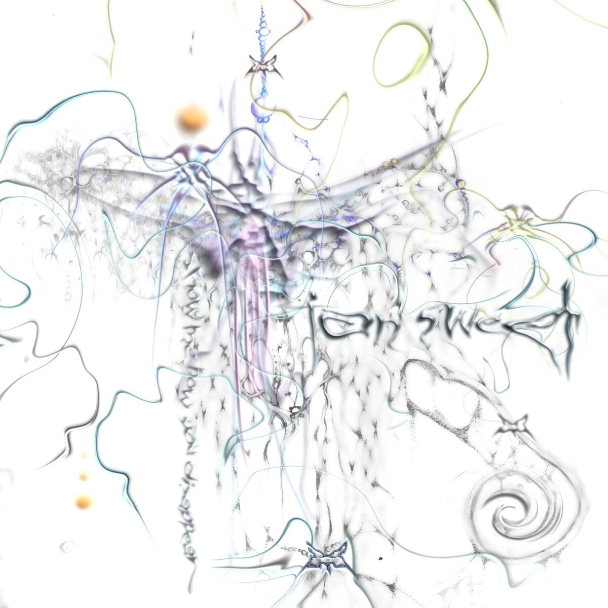 Afbeelding van Ian Sweet - Show Me How You Disappear