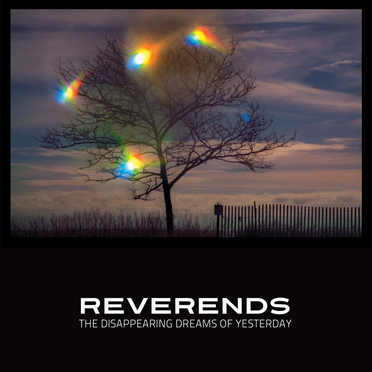 Reverends - The Disappearing Dreams Of Yesterday