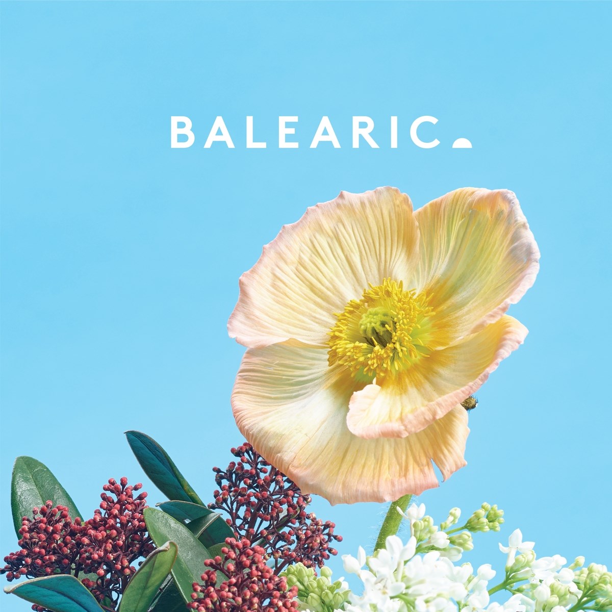 Various Artists - Balearic 4