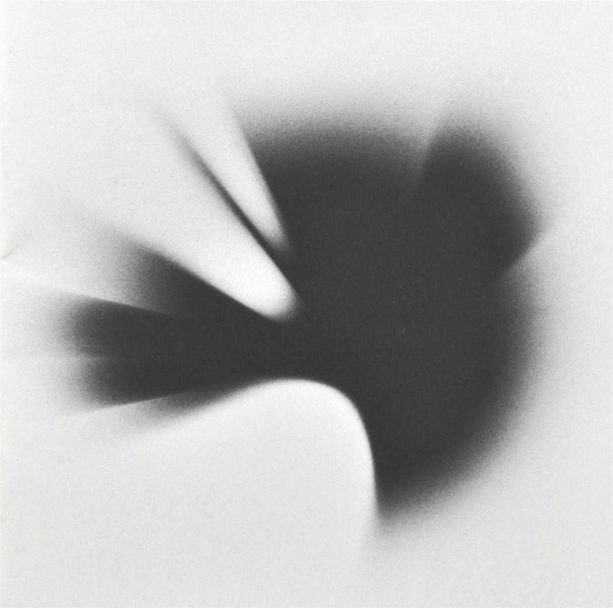 Afbeelding van Linkin Park - A Thousand Suns