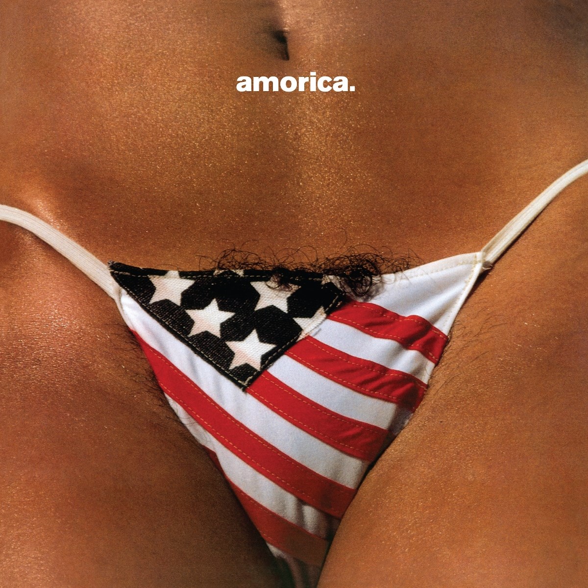 Afbeelding van The Black Crowes - Amorica