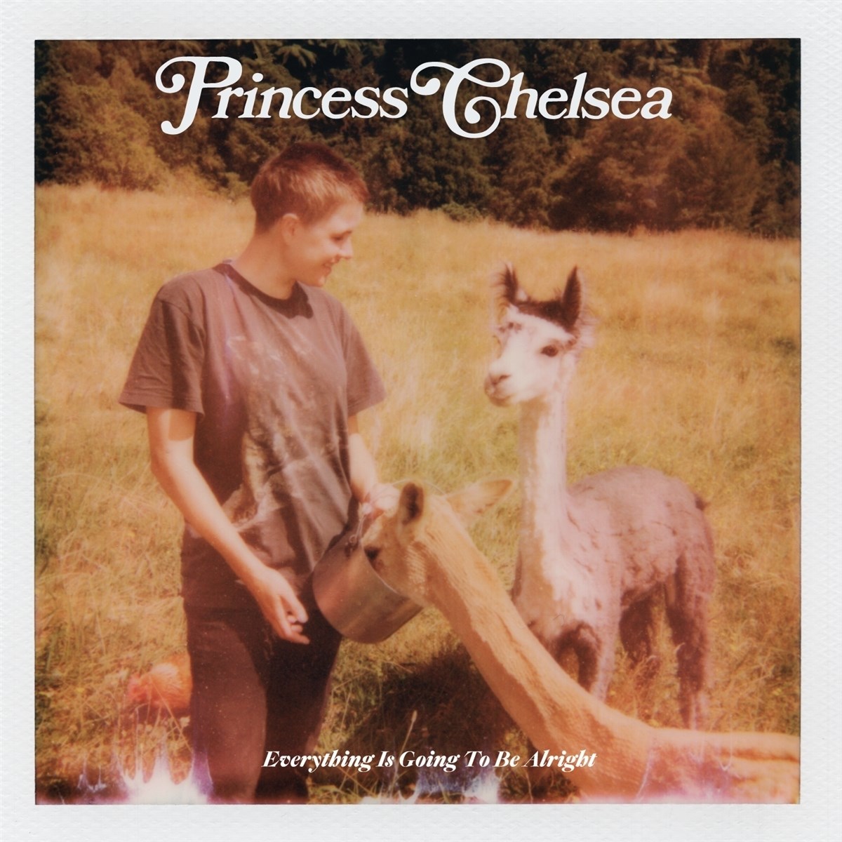 Afbeelding van Princess Chelsea - Everything Is Going To Be Alright