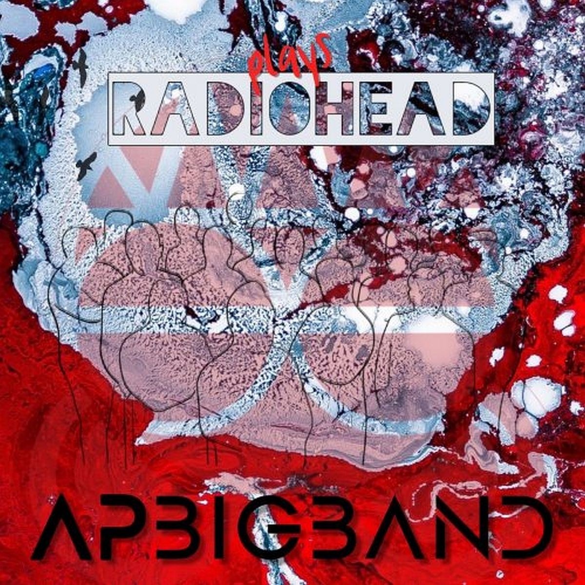 Afbeelding van Ap Big Band - Plays Radiohead