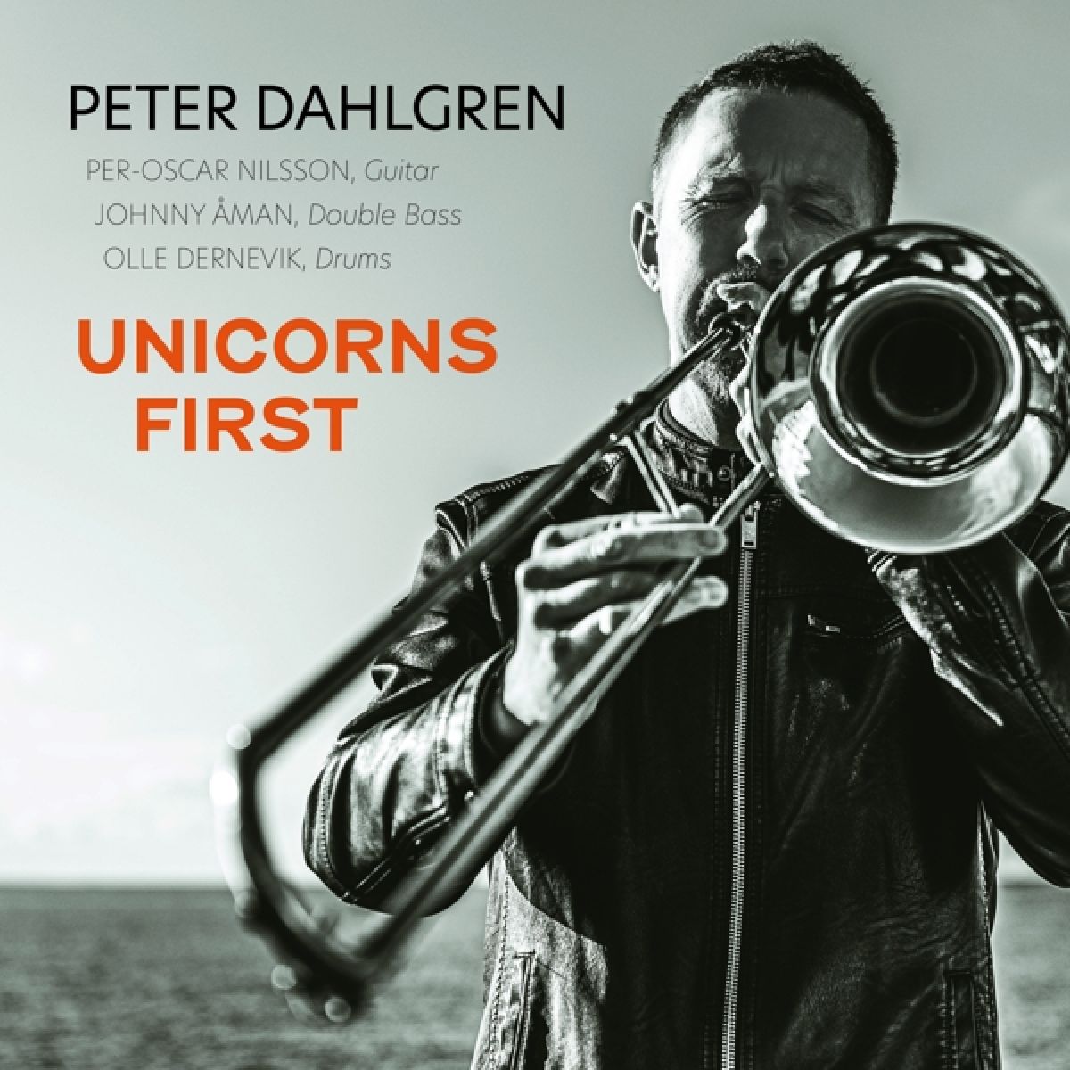 Afbeelding van Peter Dahlgren - Unicorns First