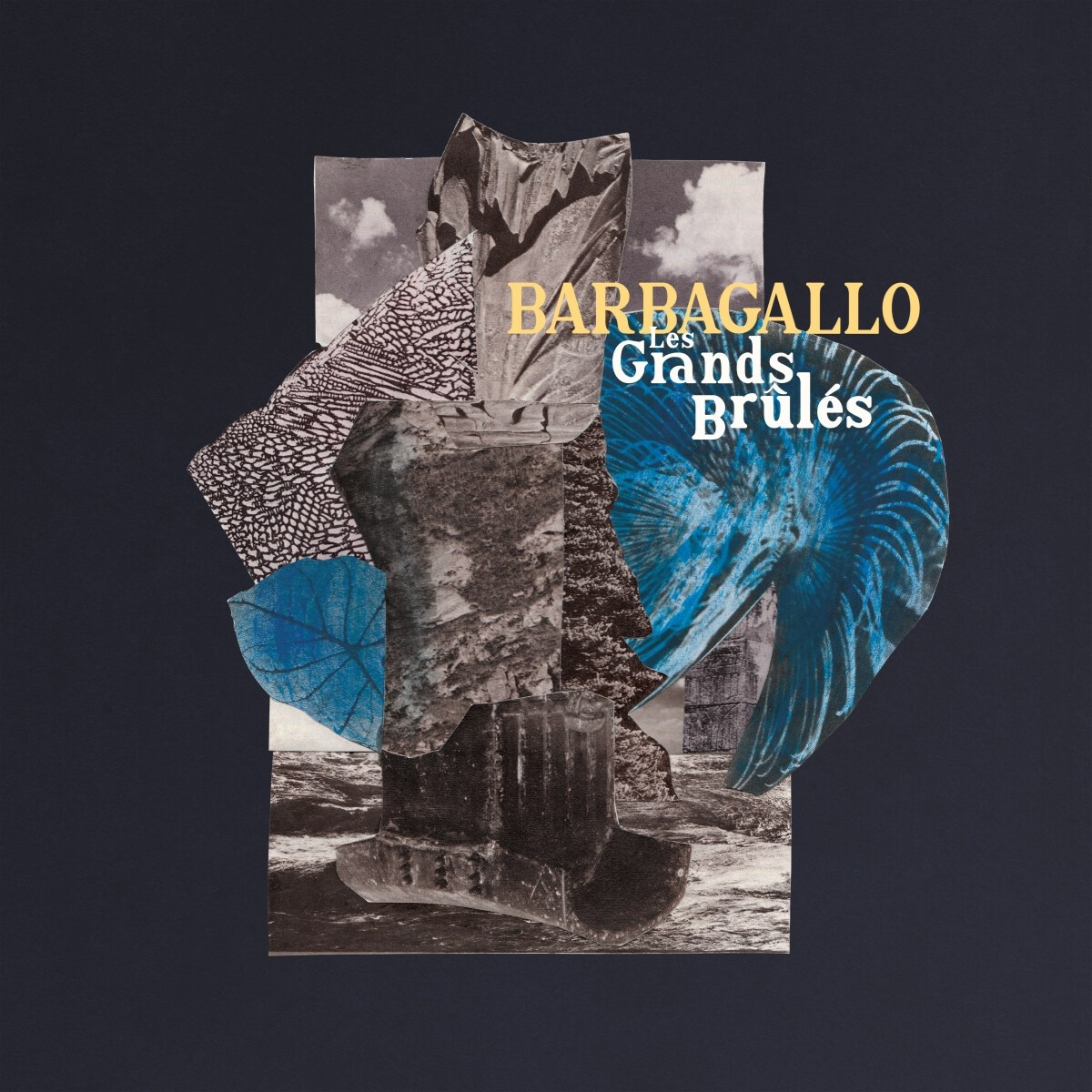 Afbeelding van Julien Barbagallo - Les Grands Brûlés / Tarabust
