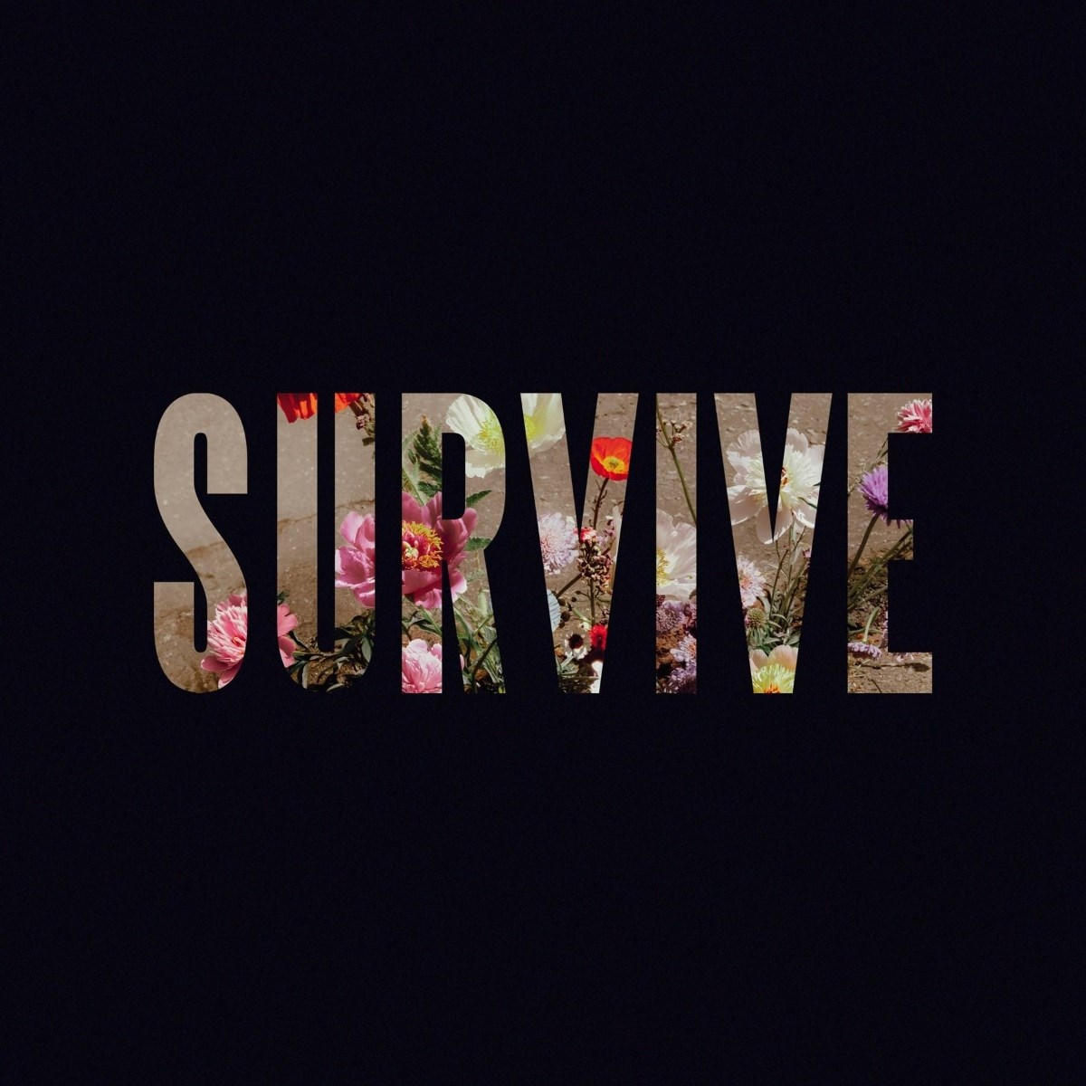 Afbeelding van Lewis Capaldi - Survive