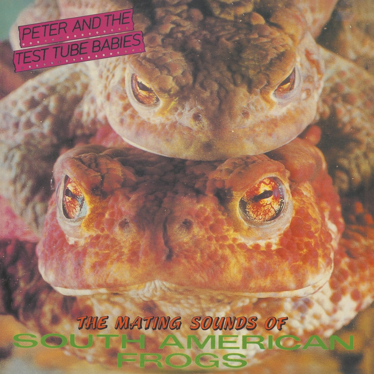 Afbeelding van Peter And The Test Tube Babies - The Mating Sounds Of South American Frogs