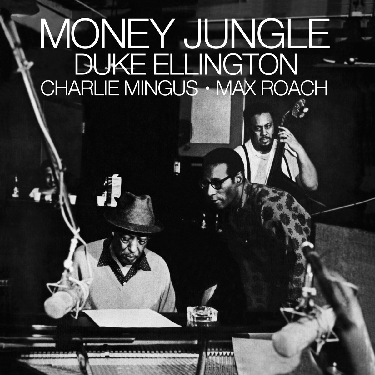 Afbeelding van Money Jungle