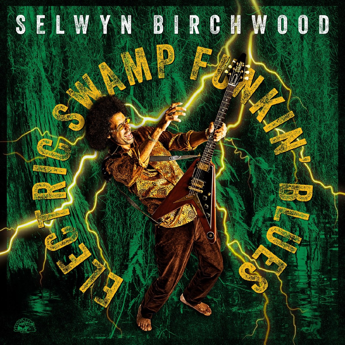 Afbeelding van Selwyn Birchwood - Electric Swamp Funkin' Blues