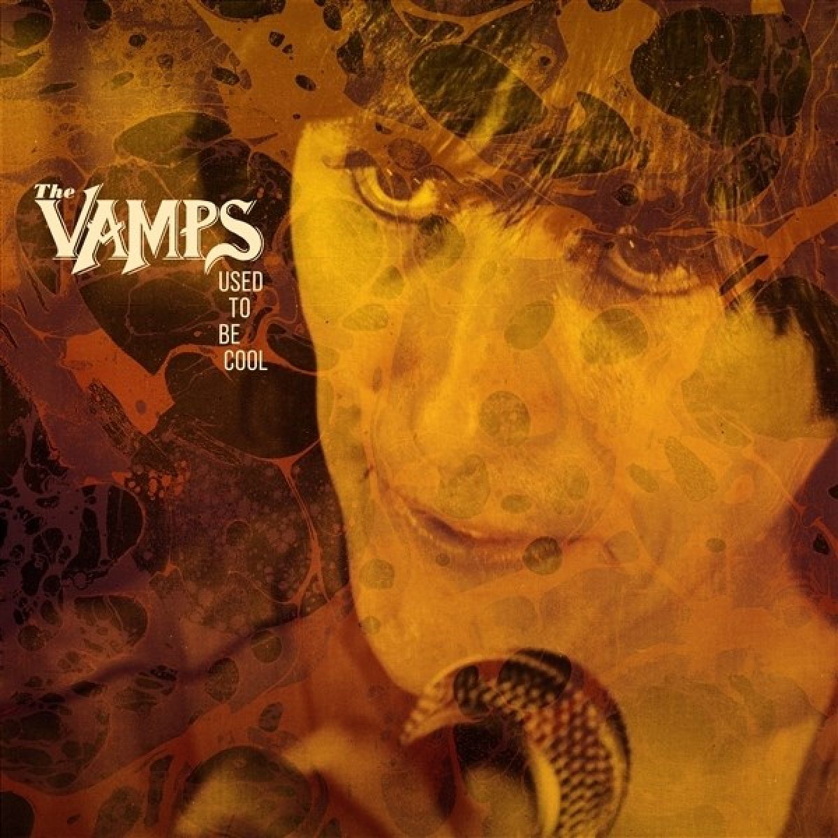 Afbeelding van The Vamps - Used To Be Cool