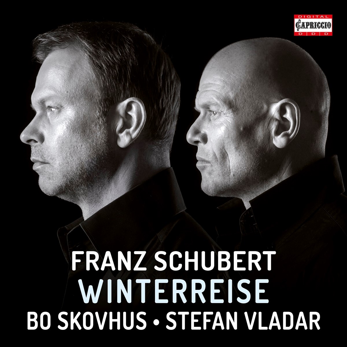 Afbeelding van Bo Skovhus & Stefan Vladar - Schubert: Winterreise