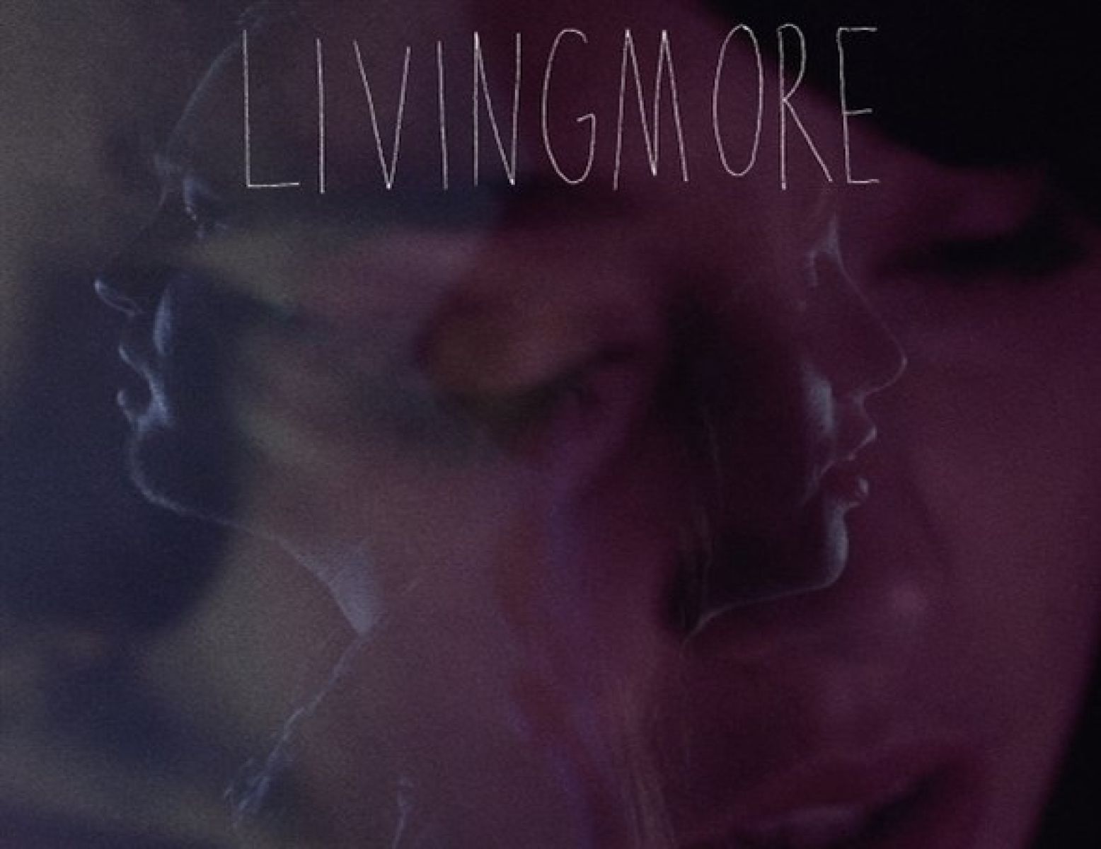 Afbeelding van Livingmore - Ok To Land