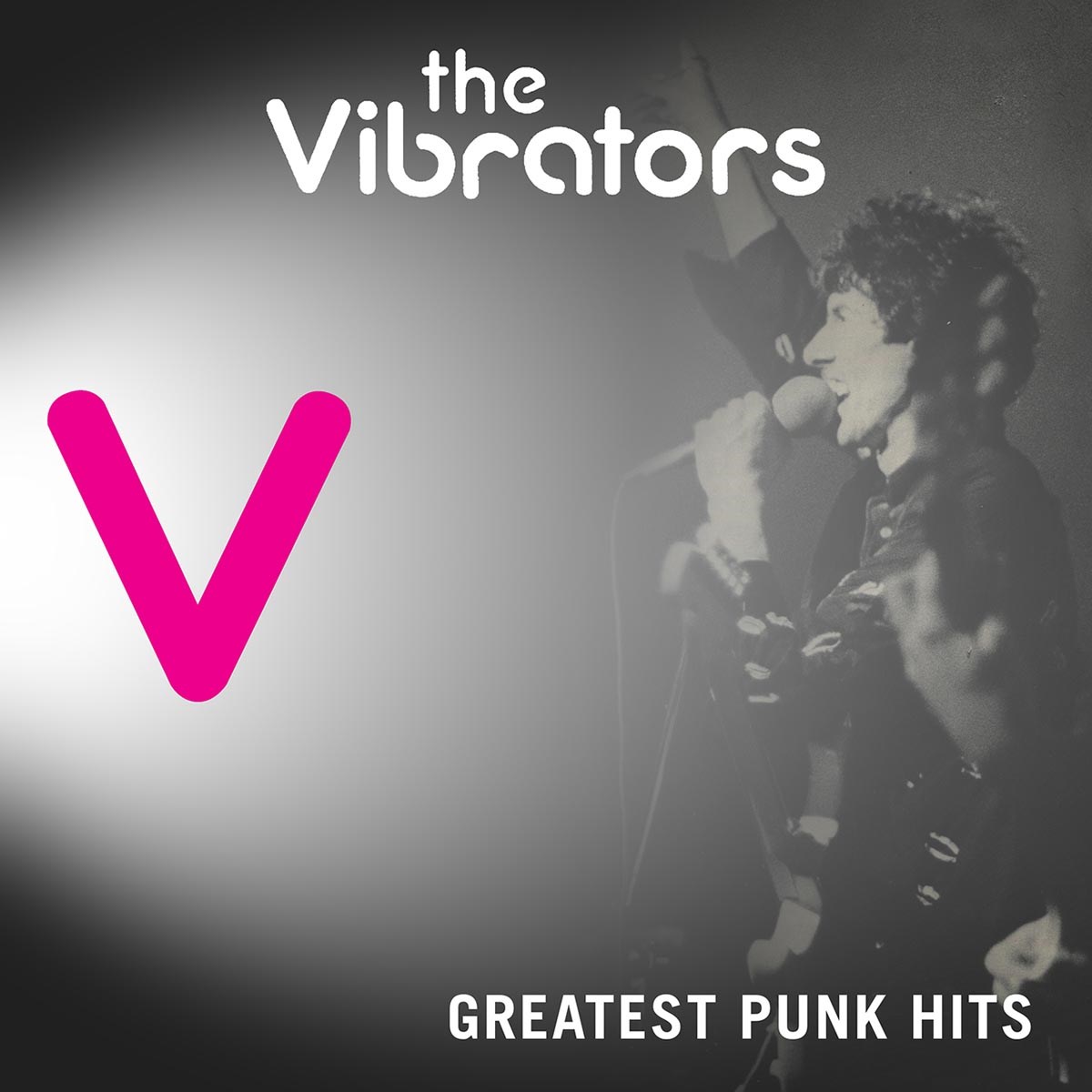 Afbeelding van The Vibrators - Greatest Punk Hits