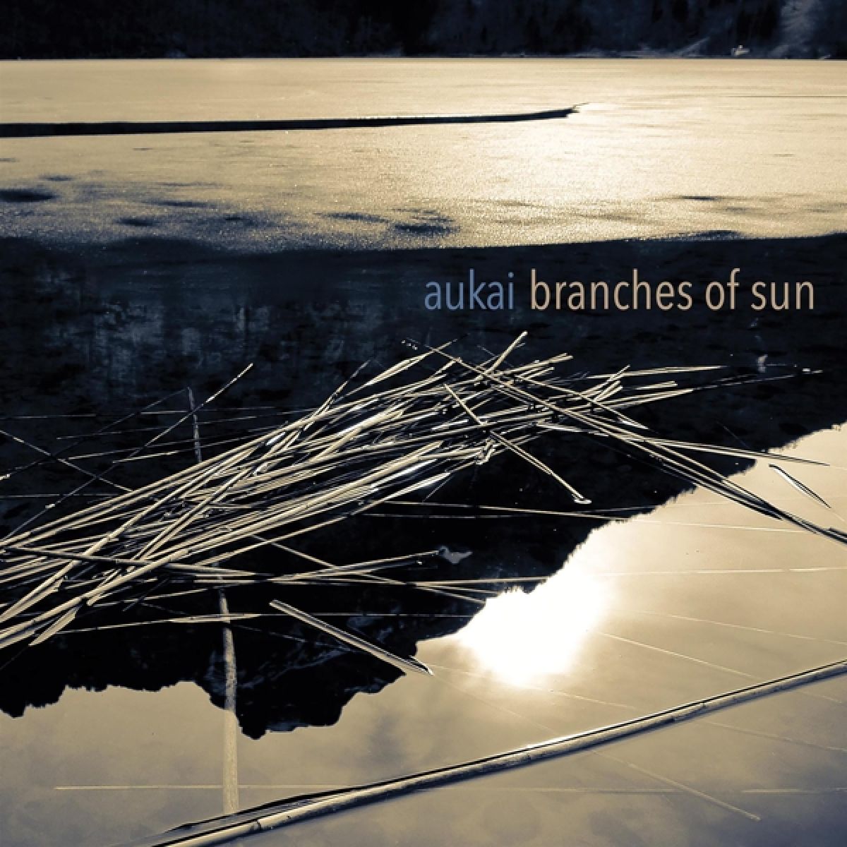 Afbeelding van Aukai - Branches Of Sun