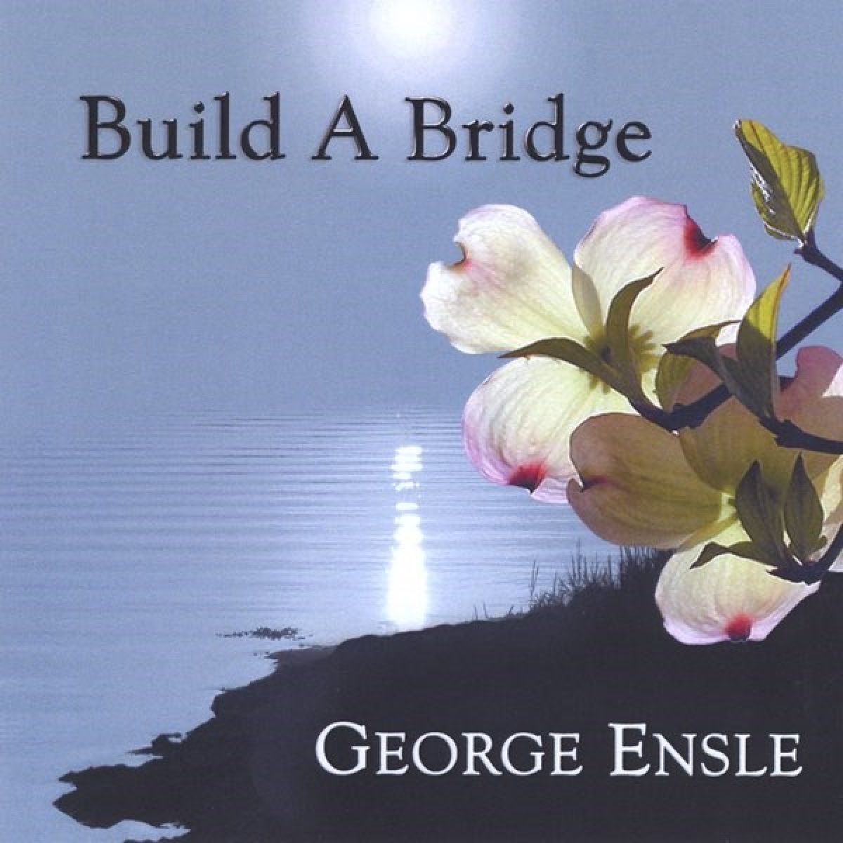 Afbeelding van George Ensle - Build A Bridge