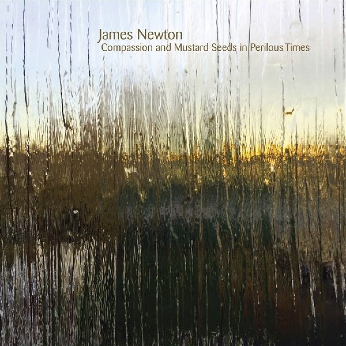 Afbeelding van James Newton - Compassion And Mustard Seeds In Perilous Times