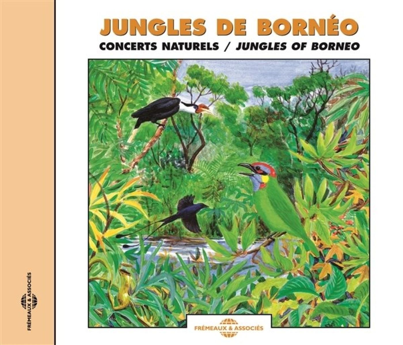 Sound Effects Birds - Jungles Of Borneo