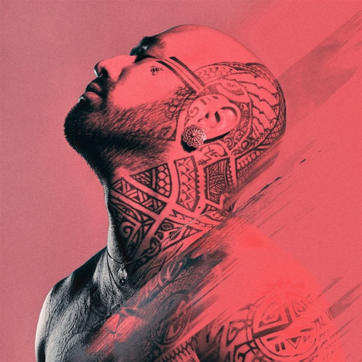 Afbeelding van Nahko And Medicine For The People - Take Your Power Back