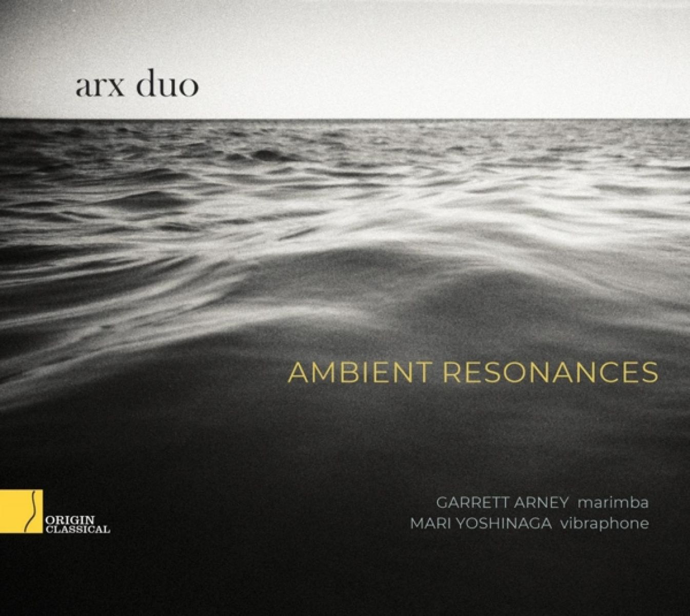 Afbeelding van Ambient Resonances