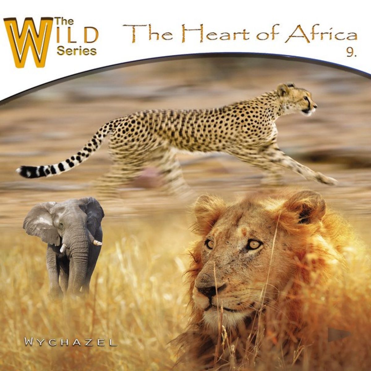 Afbeelding van Wychazel - The Heart Of Africa