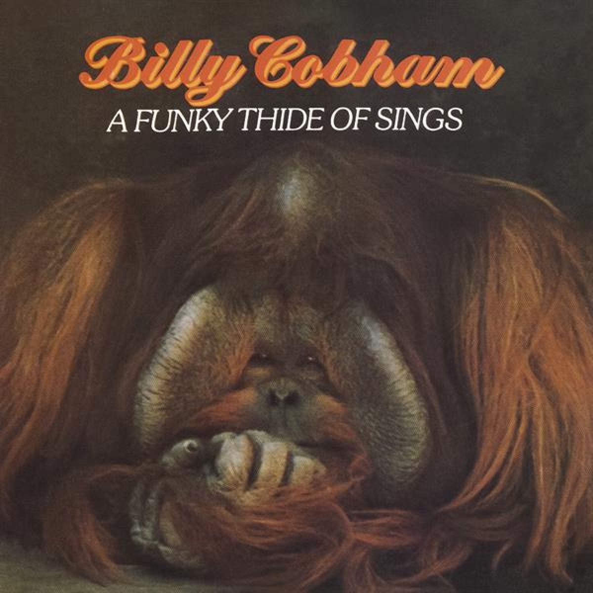 Afbeelding van Billy Cobham - A Funky Thide Of Sings