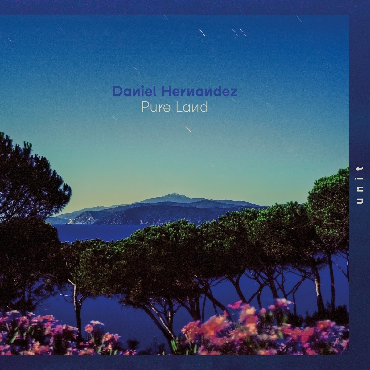 Afbeelding van Daniel Hernandez - Pure Land