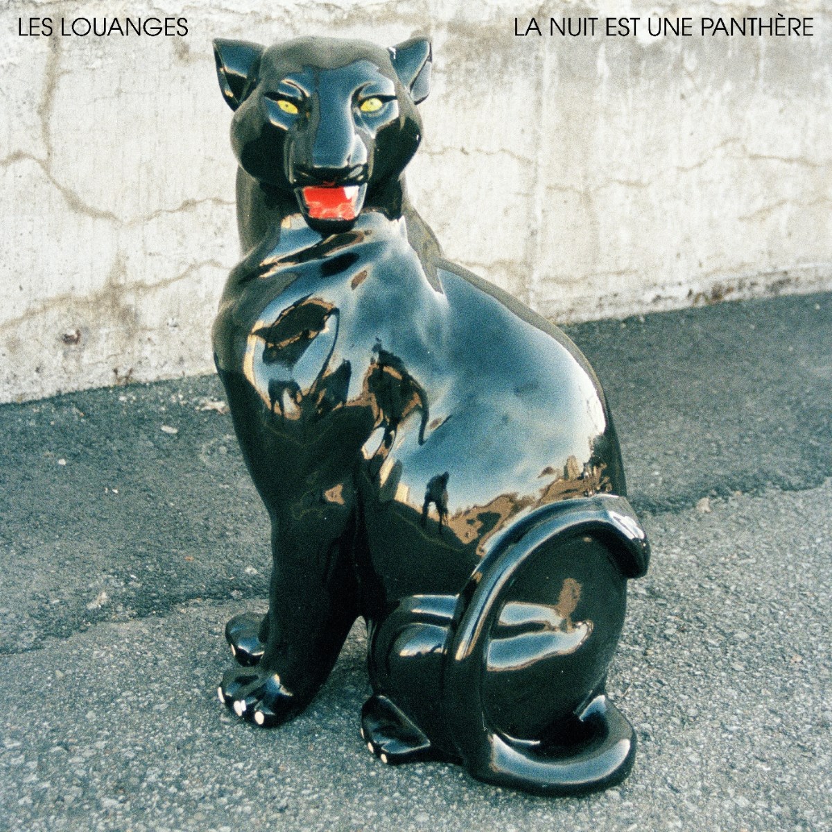 Afbeelding van La Nuit Est Une Panthère