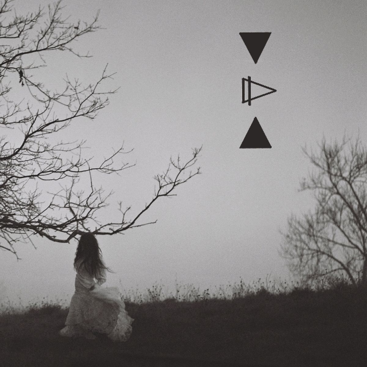 Afbeelding van Water for Gasoline
