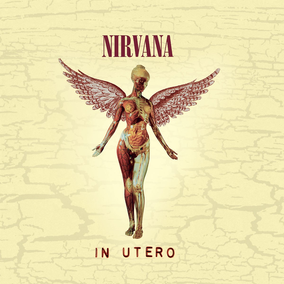 Afbeelding van Nirvana - In Utero