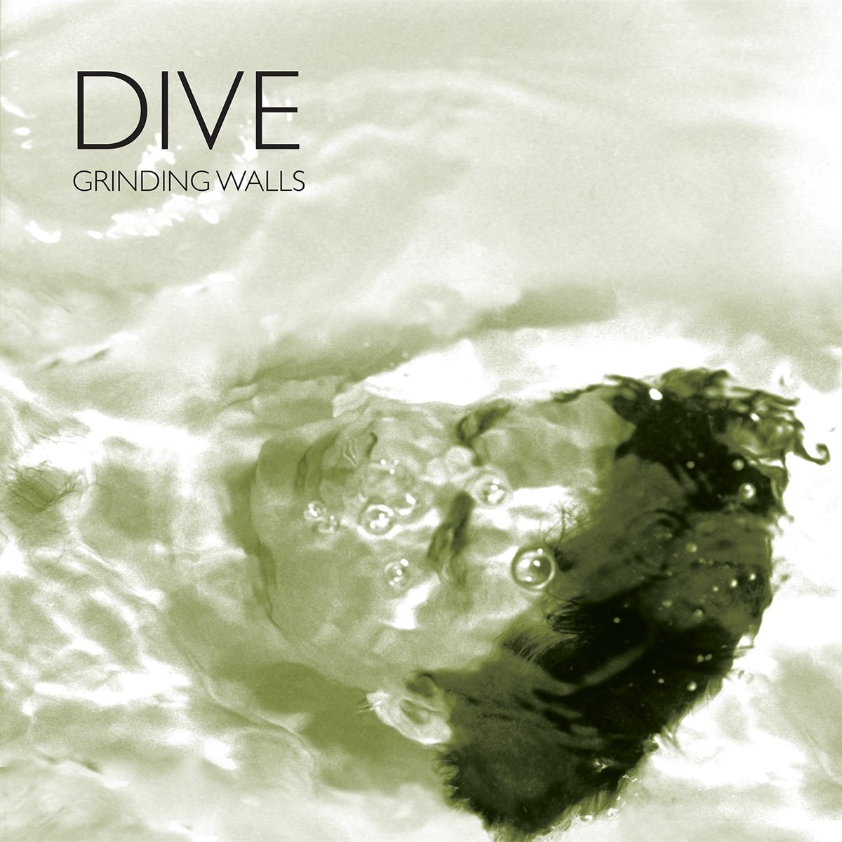 Afbeelding van Dive - Grinding Walls