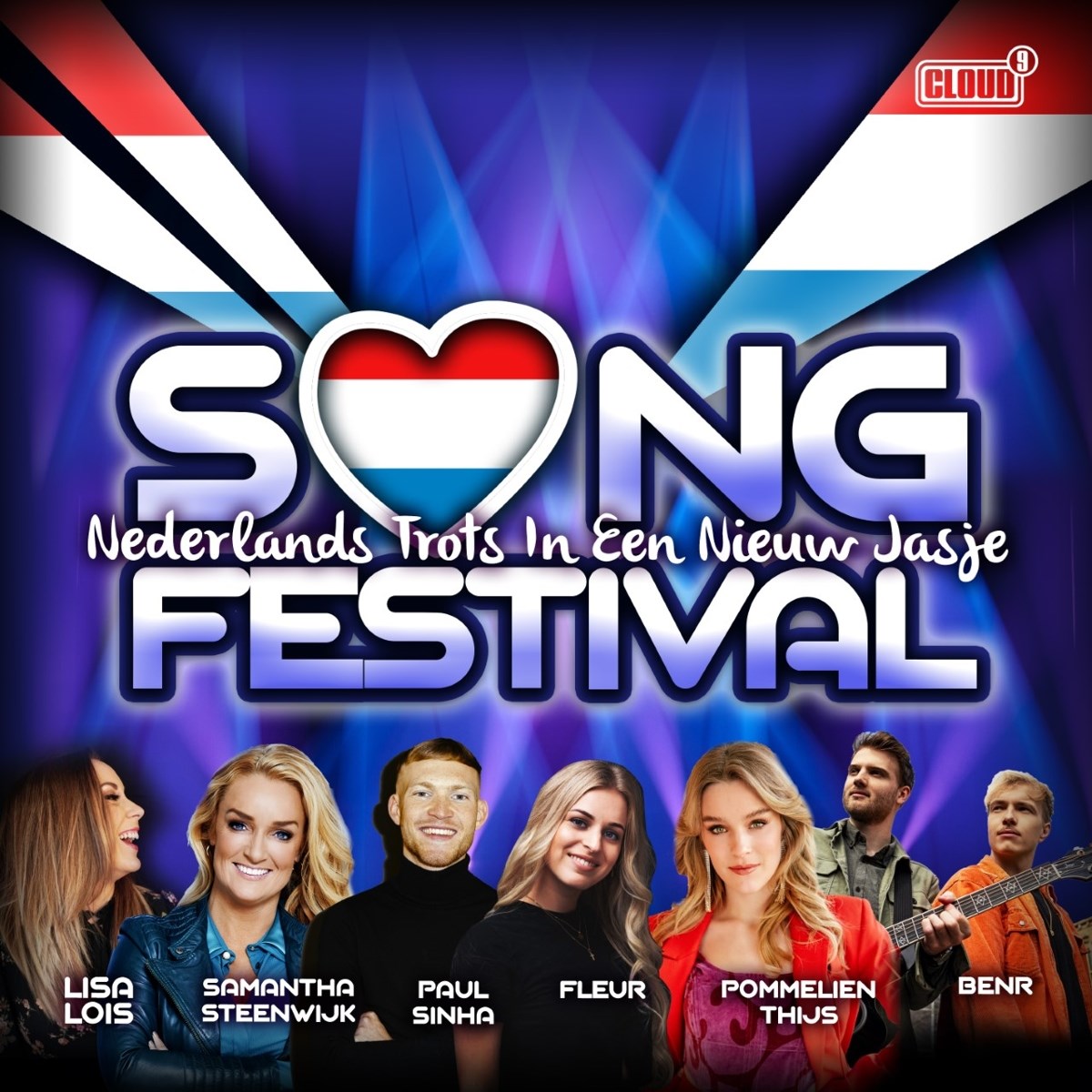 Afbeelding van Various Artists - Song Festival - Nederlands Trots In Een Nieuw Jasje