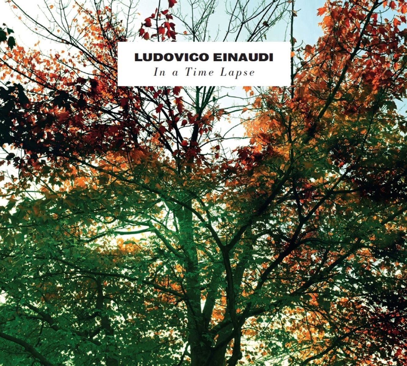 Afbeelding van Ludovico Einaudi - In A Time Lapse