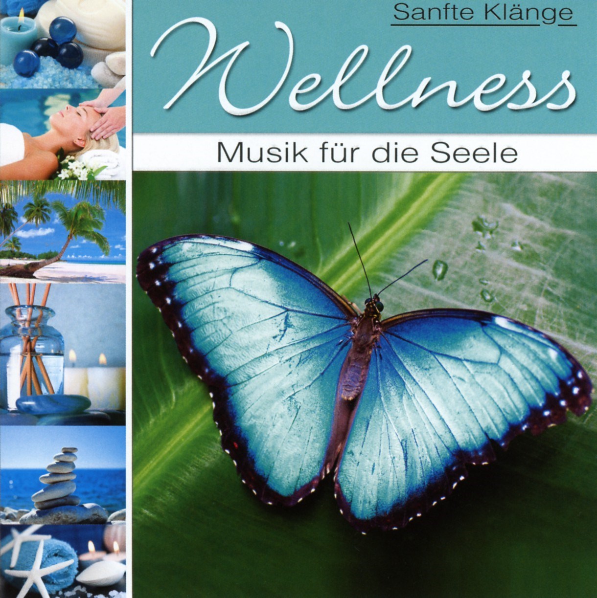Afbeelding van Various Artists - Wellness - Musik Für Die Seele