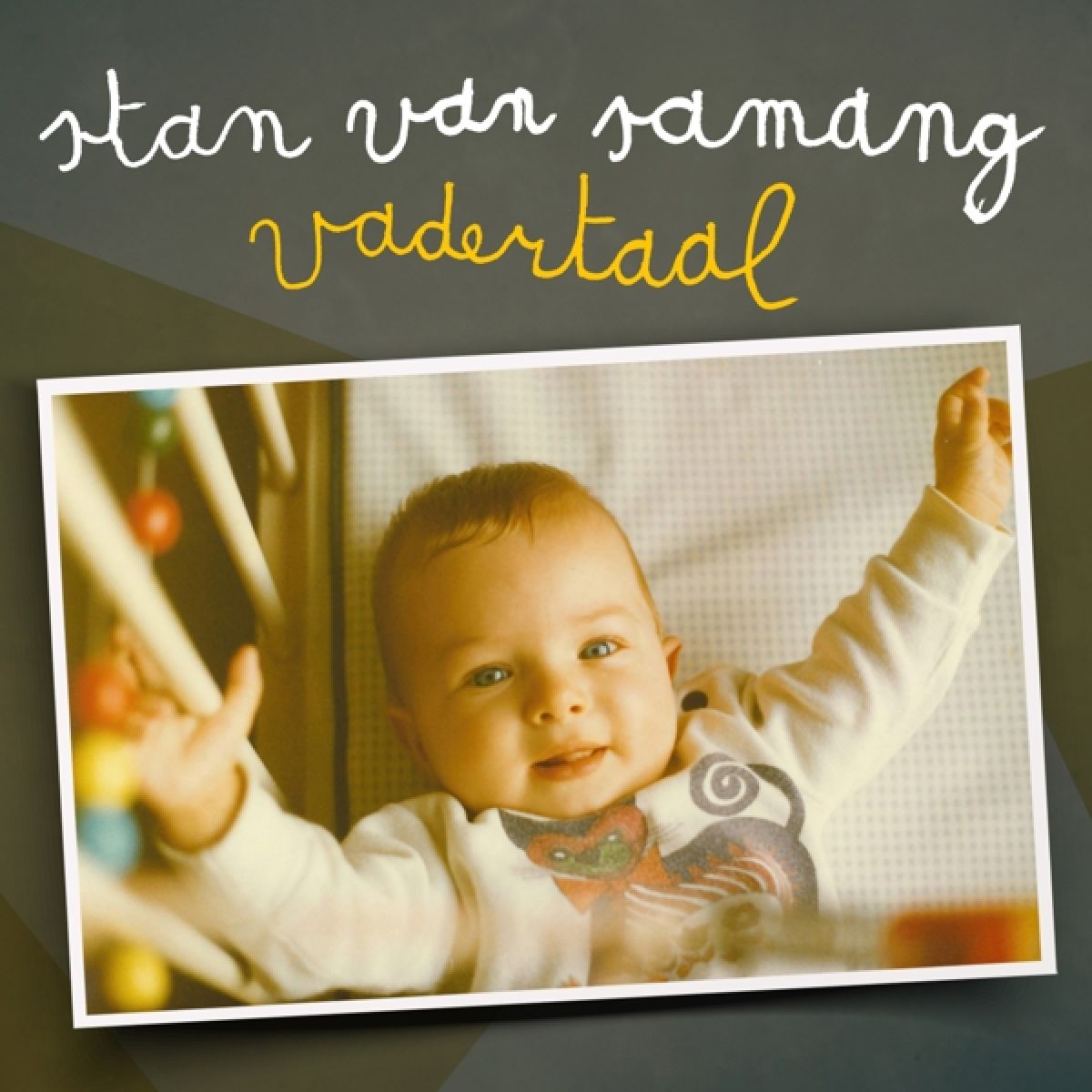 Afbeelding van Stan Van Samang - Vadertaal