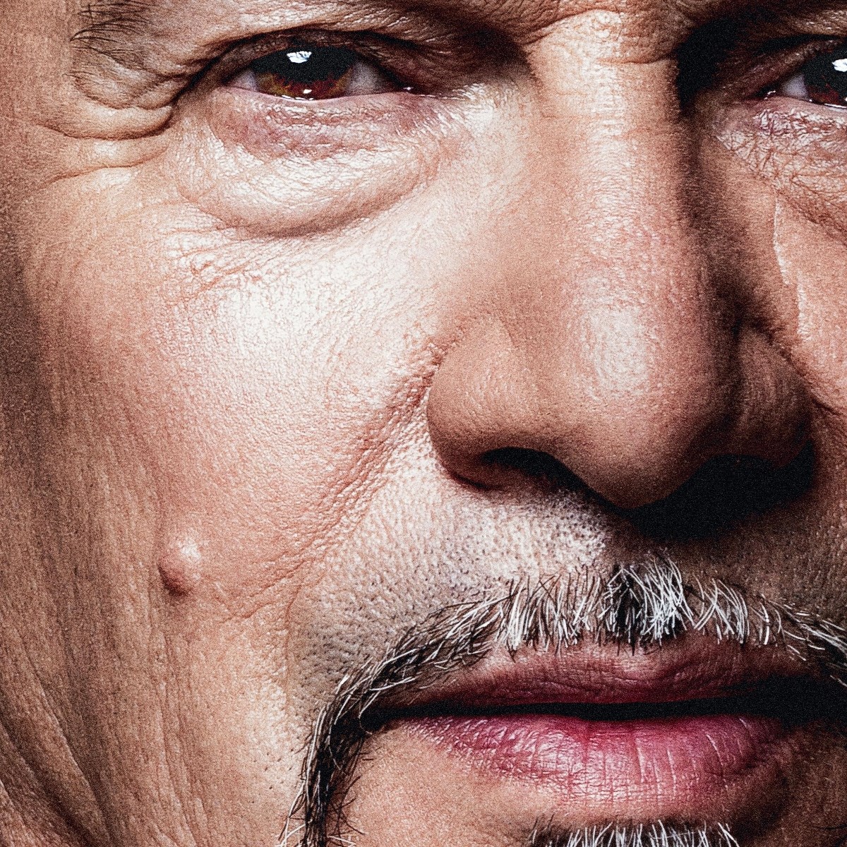 Afbeelding van Florent Pagny - Grandeur Nature