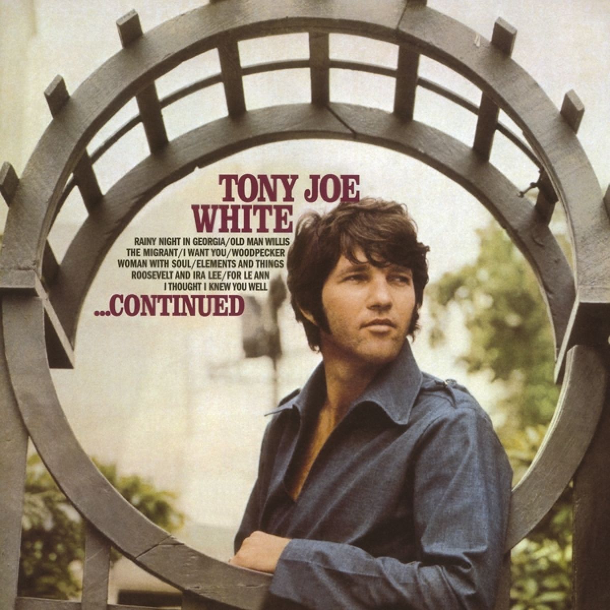 Afbeelding van Tony Joe White - ...Continued
