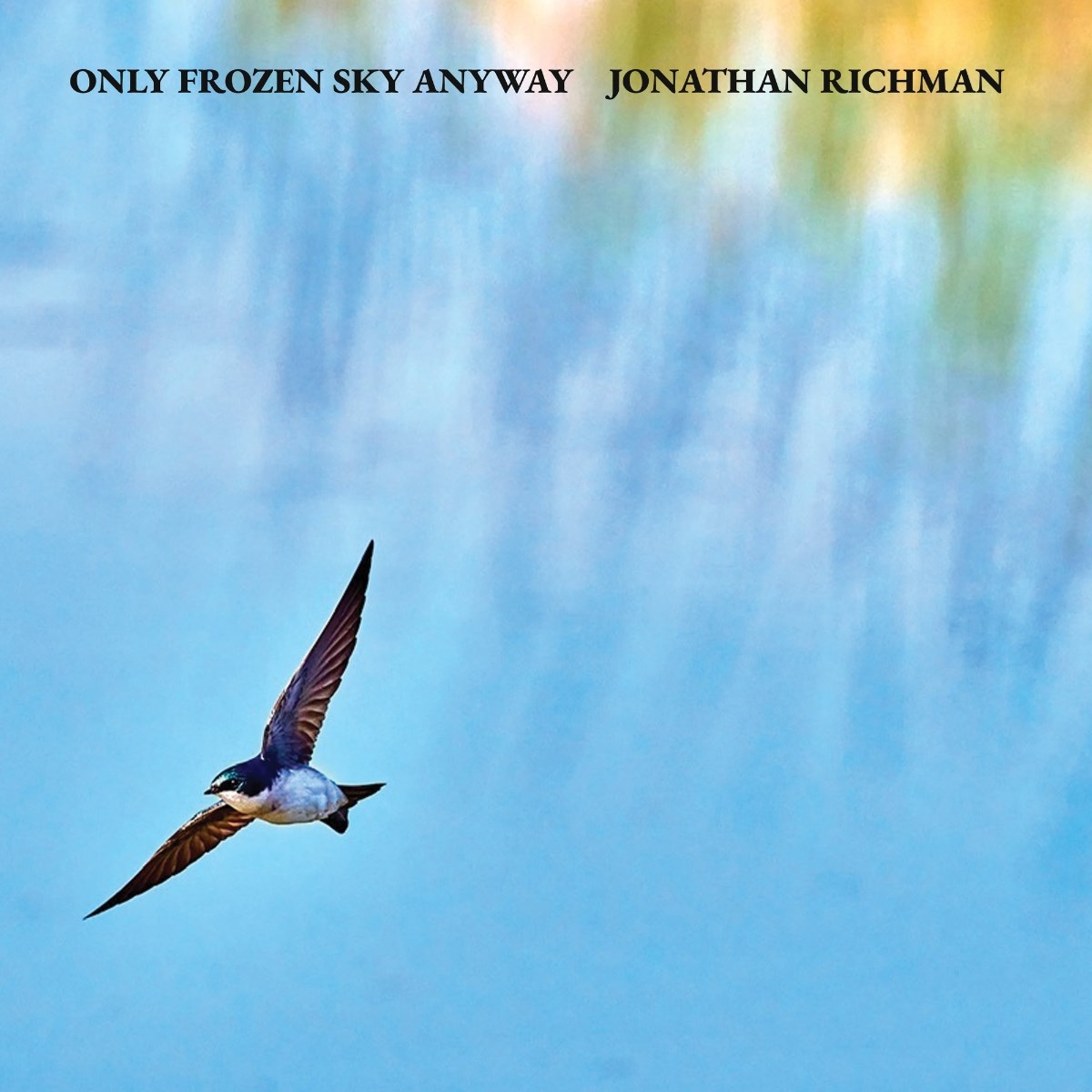 Afbeelding van Jonathan Richman - Only Frozen Sky Anyway