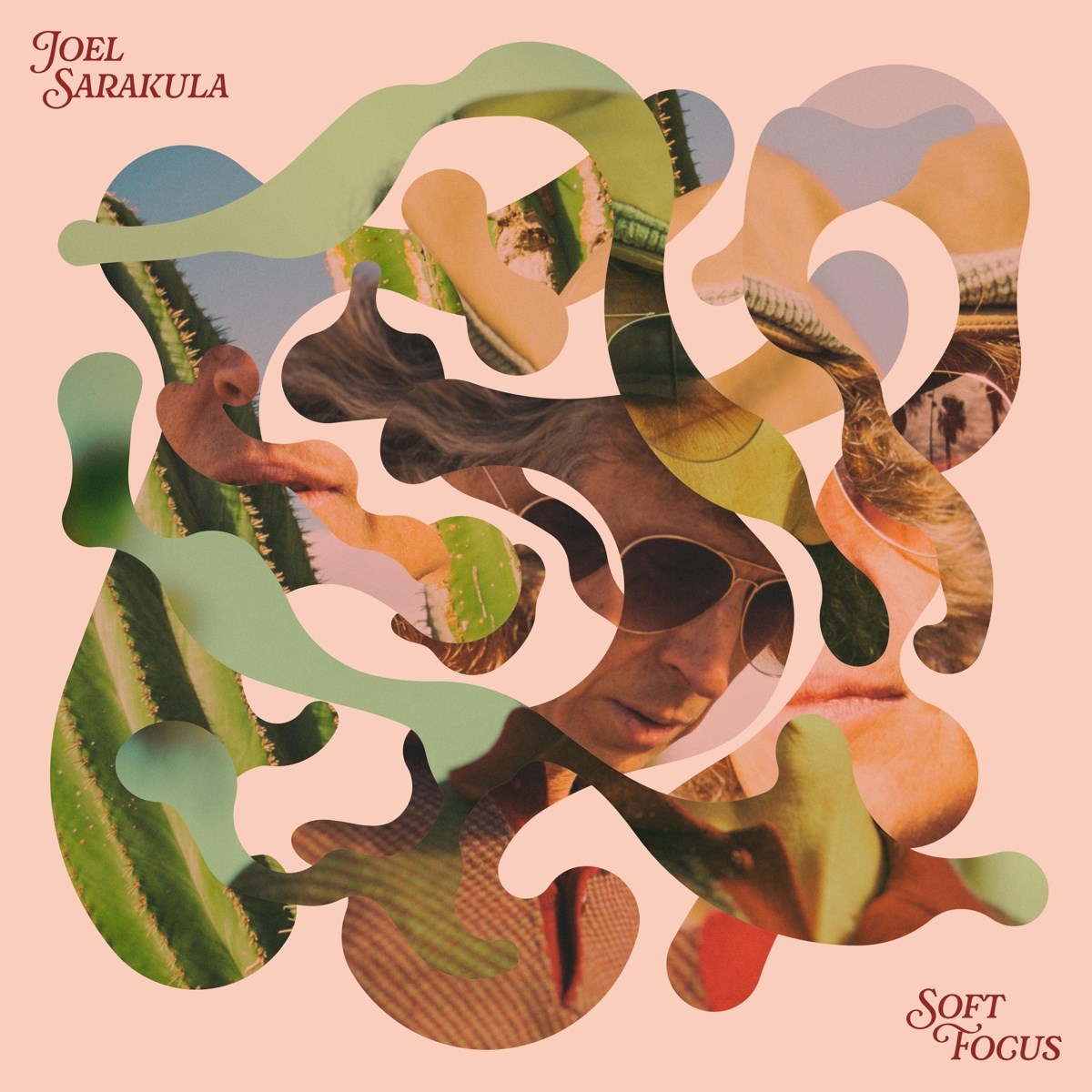 Afbeelding van Joel Sarakula - Soft Focus