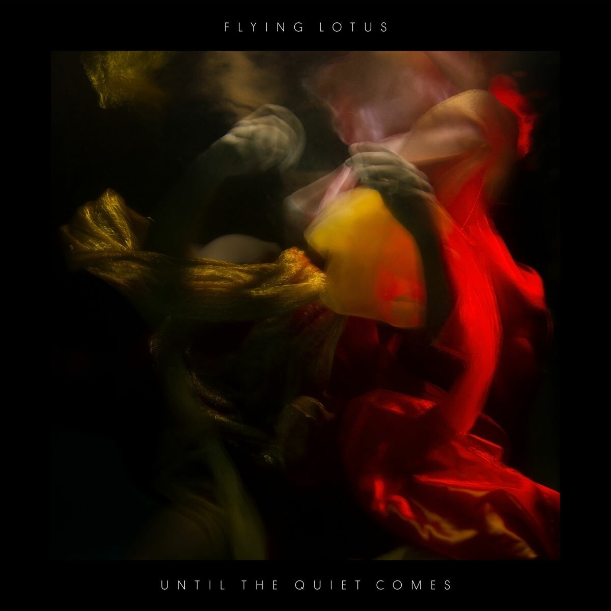 Afbeelding van Until The Quiet Comes