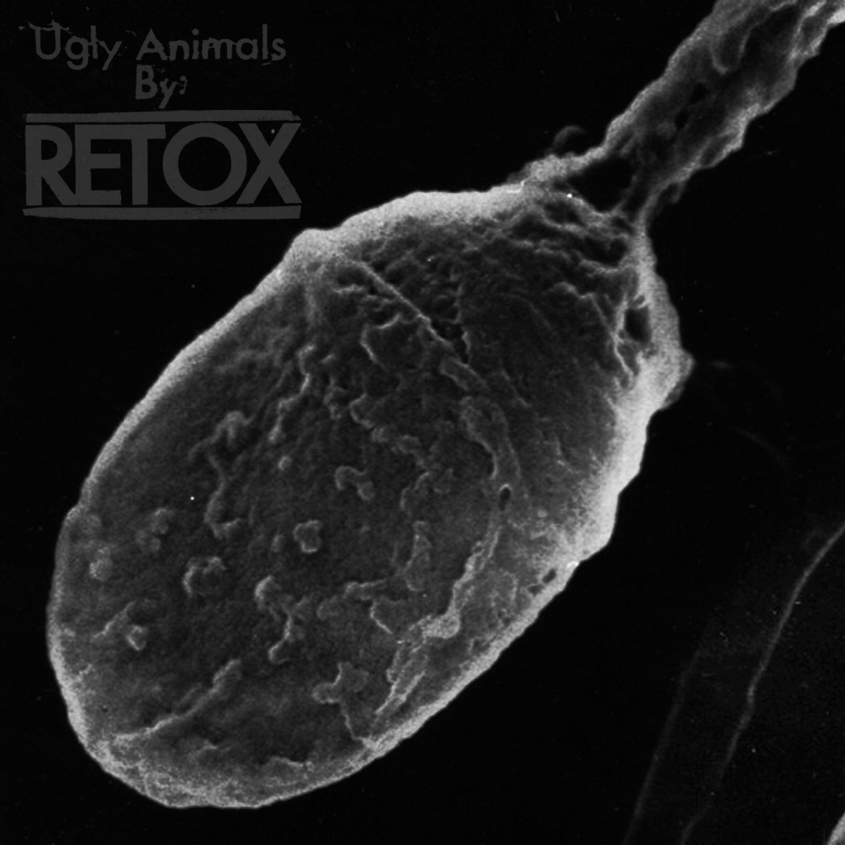 Afbeelding van Retox - Ugly Animals