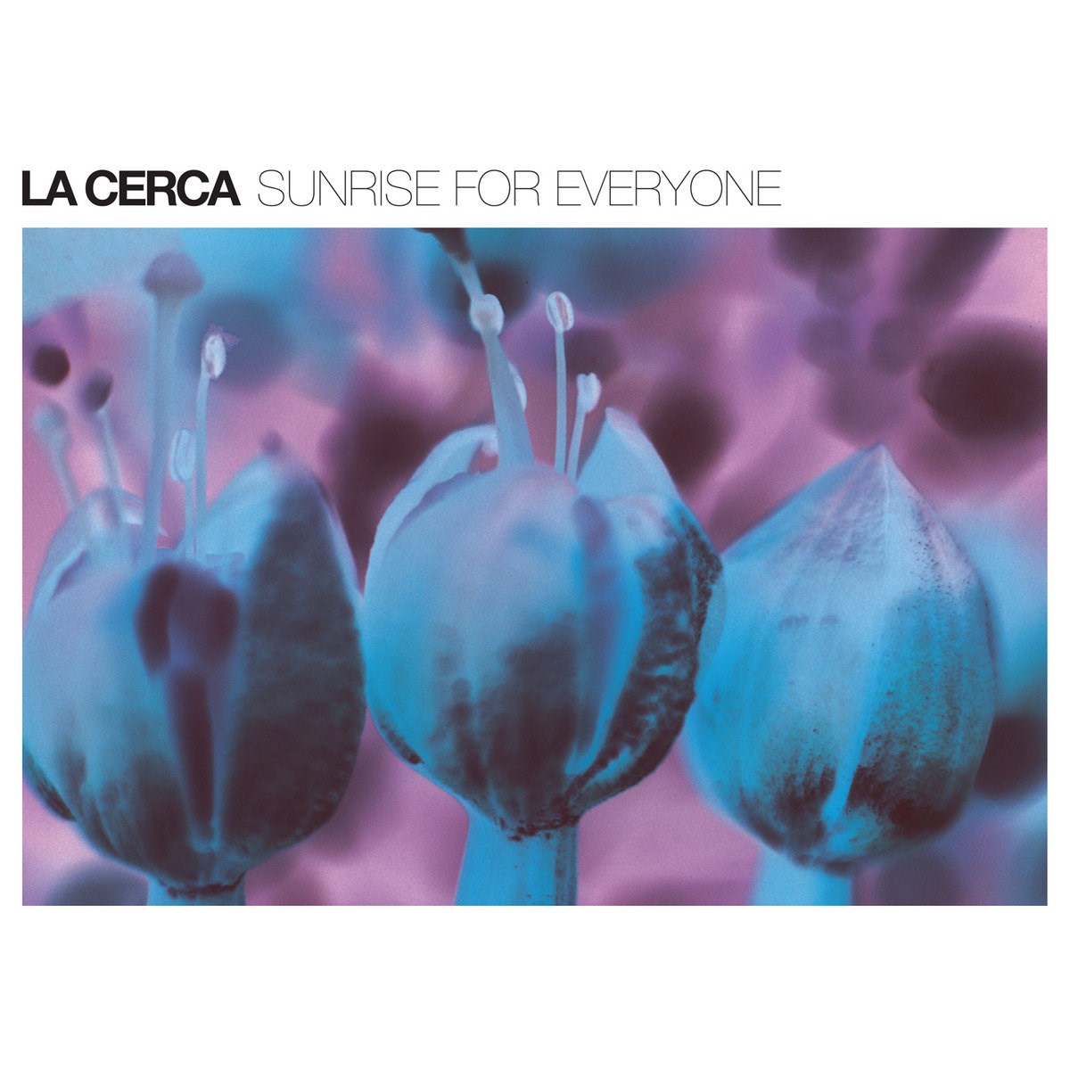Afbeelding van La Cerca - Sunrise For Everyone