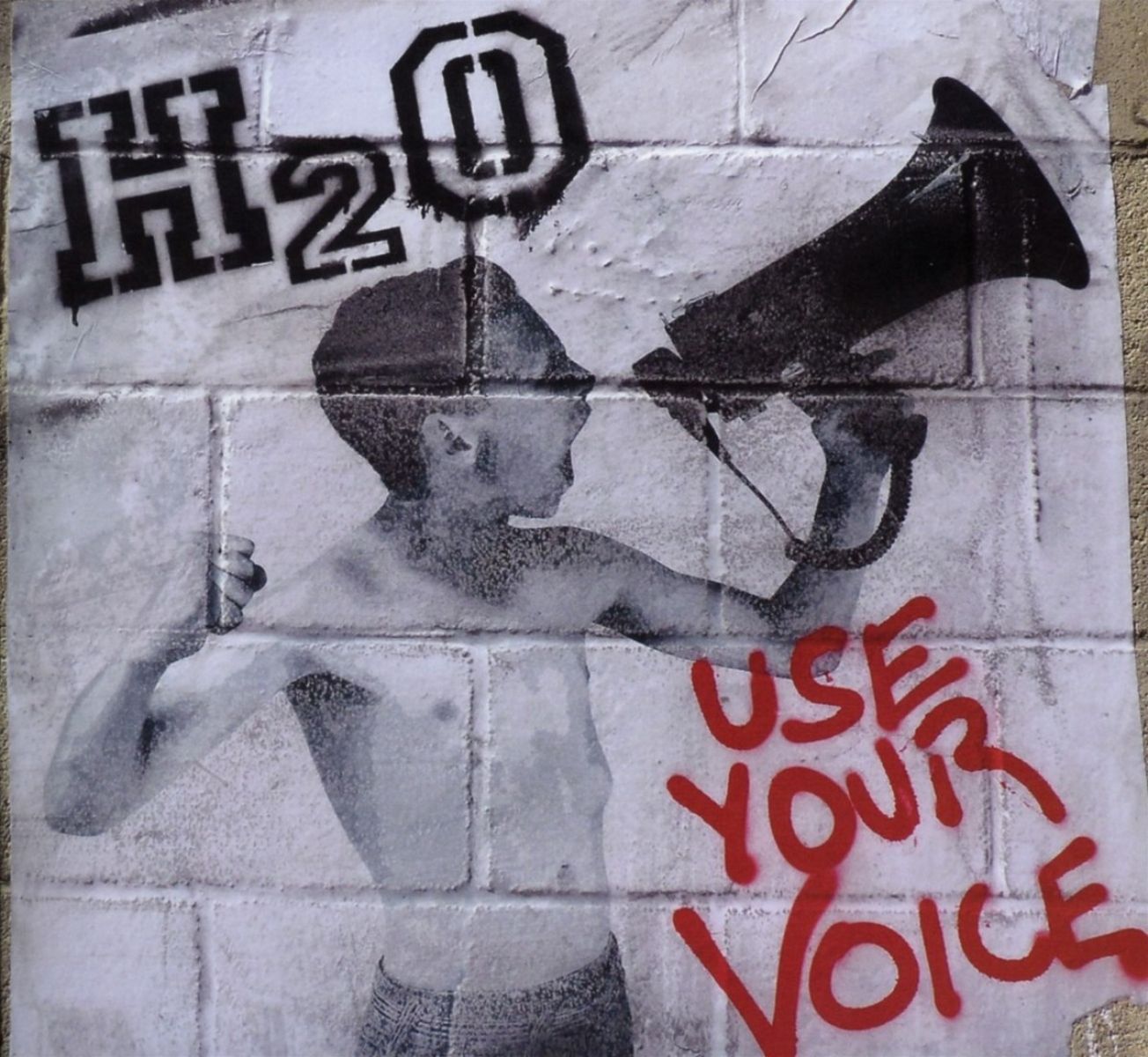 Afbeelding van H2O - Use Your Voice
