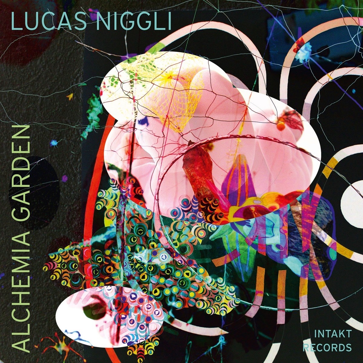 Afbeelding van Lucas Niggli - Alchemia Garden