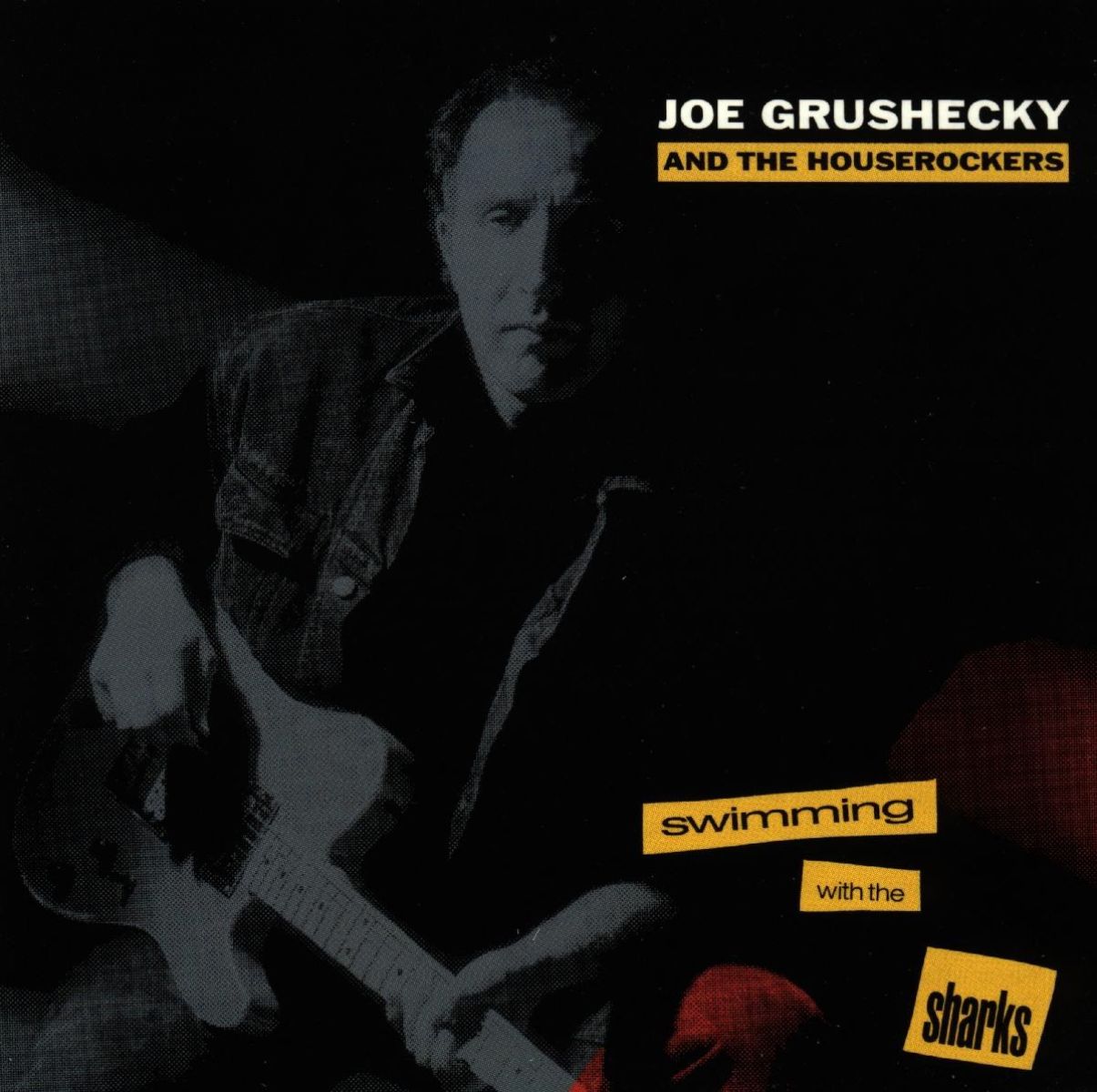 Afbeelding van Joe Grushecky & The Houserockers - Swimming With The Sharks