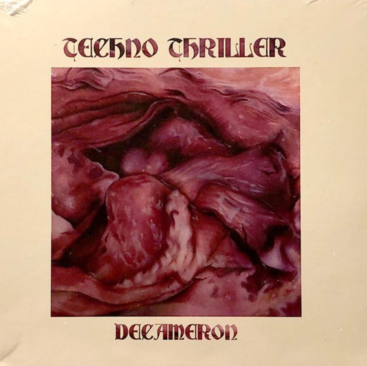 Afbeelding van Techno Thriller - Decameron