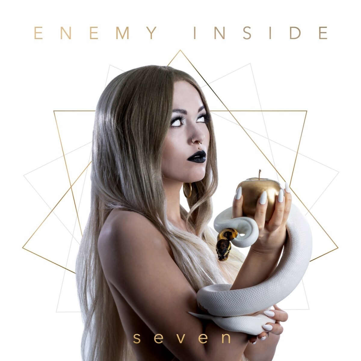Afbeelding van Enemy Inside - Seven