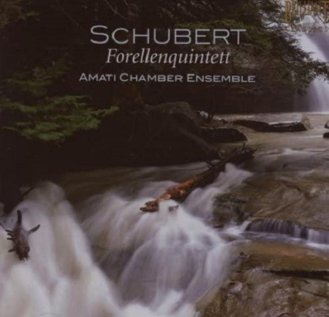 Afbeelding van Amati Chamber Ensemble - Schubert: Forellenquintett