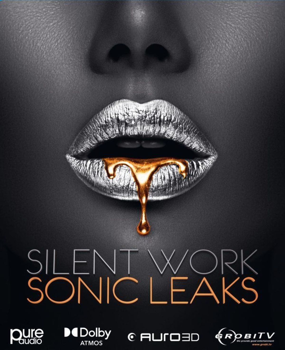 Afbeelding van Silent Work - Sonic Leaks
