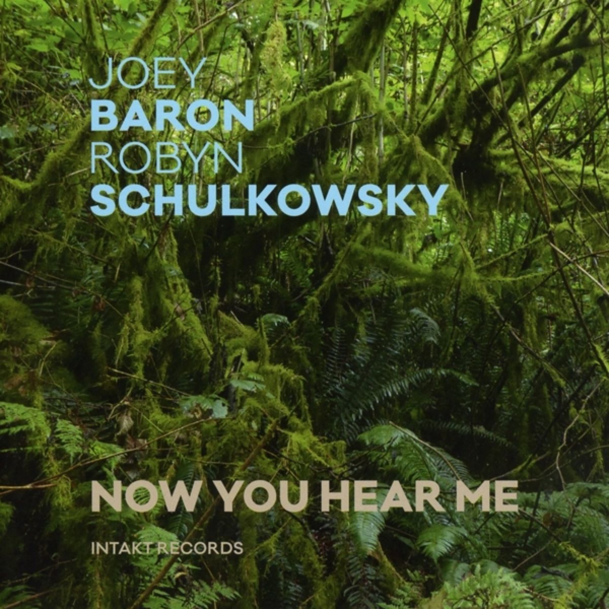 Afbeelding van Joey Baron & Robyn Schulkowsky - Now You Hear Me