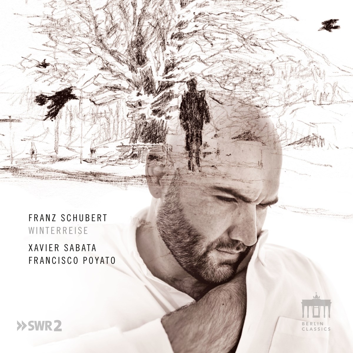Afbeelding van Franz Schubert: Winterreise